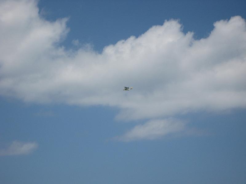 Picture 020